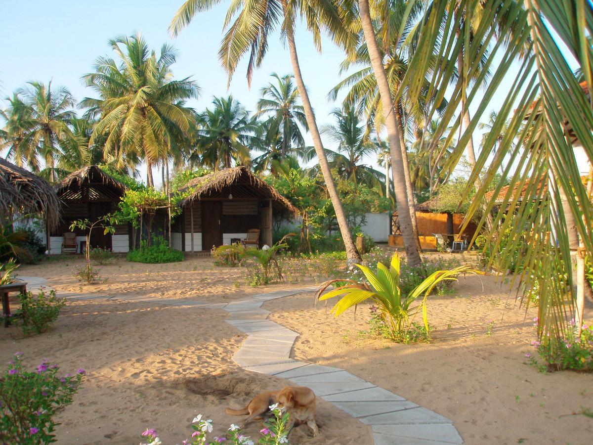 Stardust Beach Hotel Arugam Bay Exterior photo